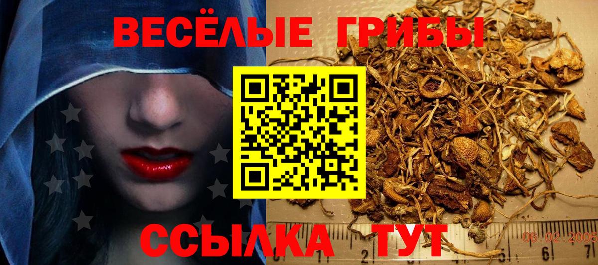 Галлюциногенные грибы Magic Shrooms  Вход с VPN  Артём  Галлюциногенные грибы ЛСД 